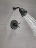 17 Series Shower Trim with Cylinder SH
