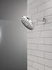PivotPro&trade; Raincan Shower Head