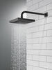 Raincan Single-Setting Shower Head