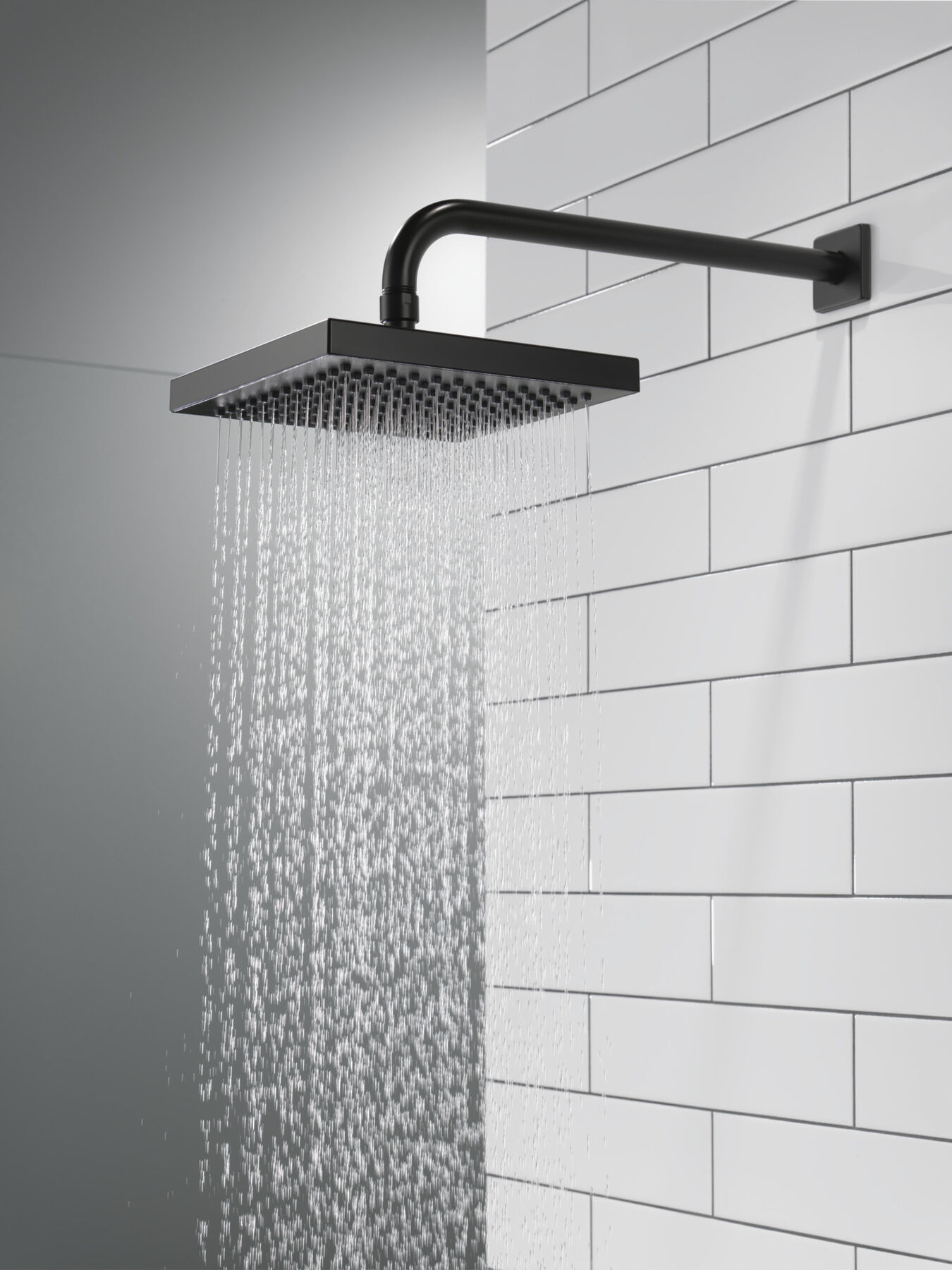 Raincan Single-Setting Shower Head
