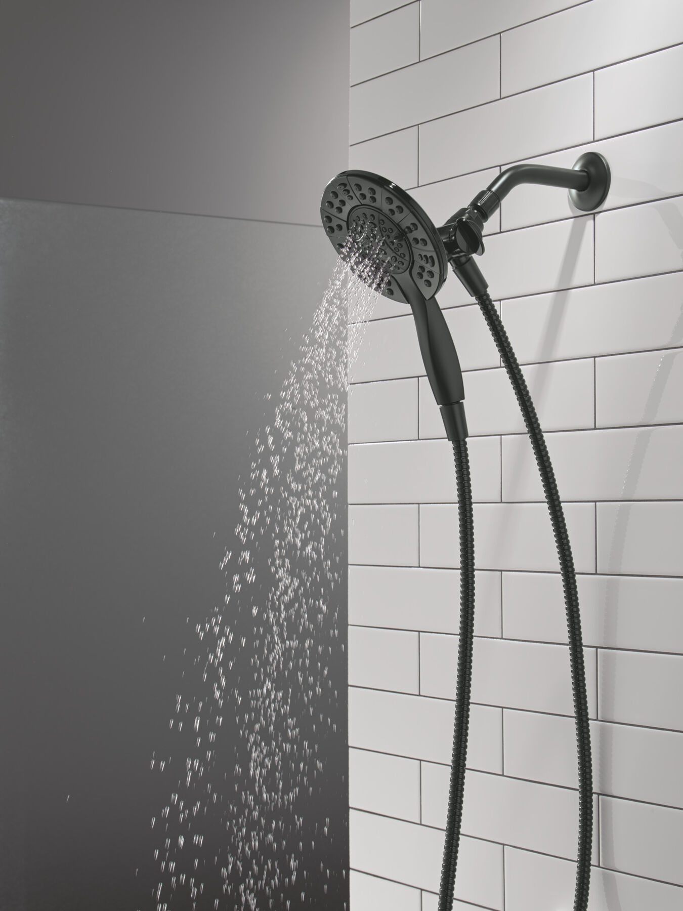 4-Setting Two-in-One Shower