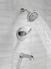 Monitor&reg; 14 Series Tub and Shower