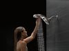 HydroRain&reg; 5-Setting Two-in-One Shower Head