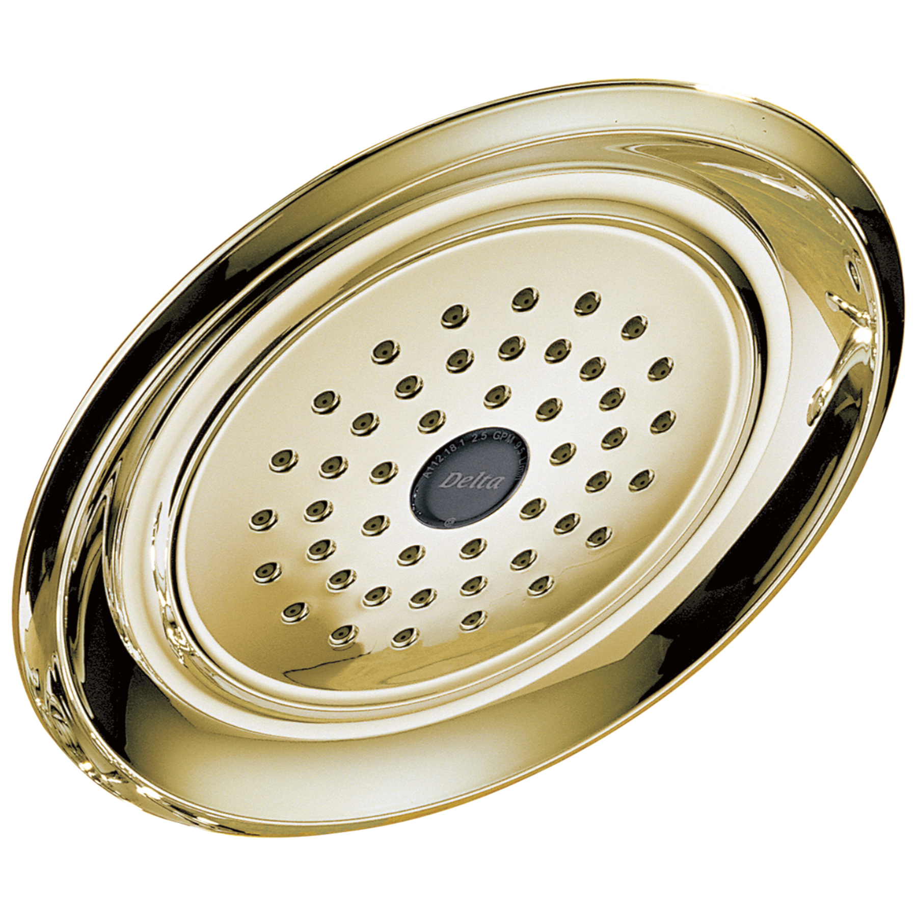 Single-Setting Raincan Shower Head