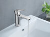 Single Handle Bathroom Faucet (Recertified)