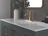 Single Handle Lavatory Faucet with 14 Series Tub Shower Trim Bundle
