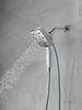H<sub>2</sub>Okinetic&reg; In2ition&reg; 4-Setting Two-in-One Shower (Recertified)