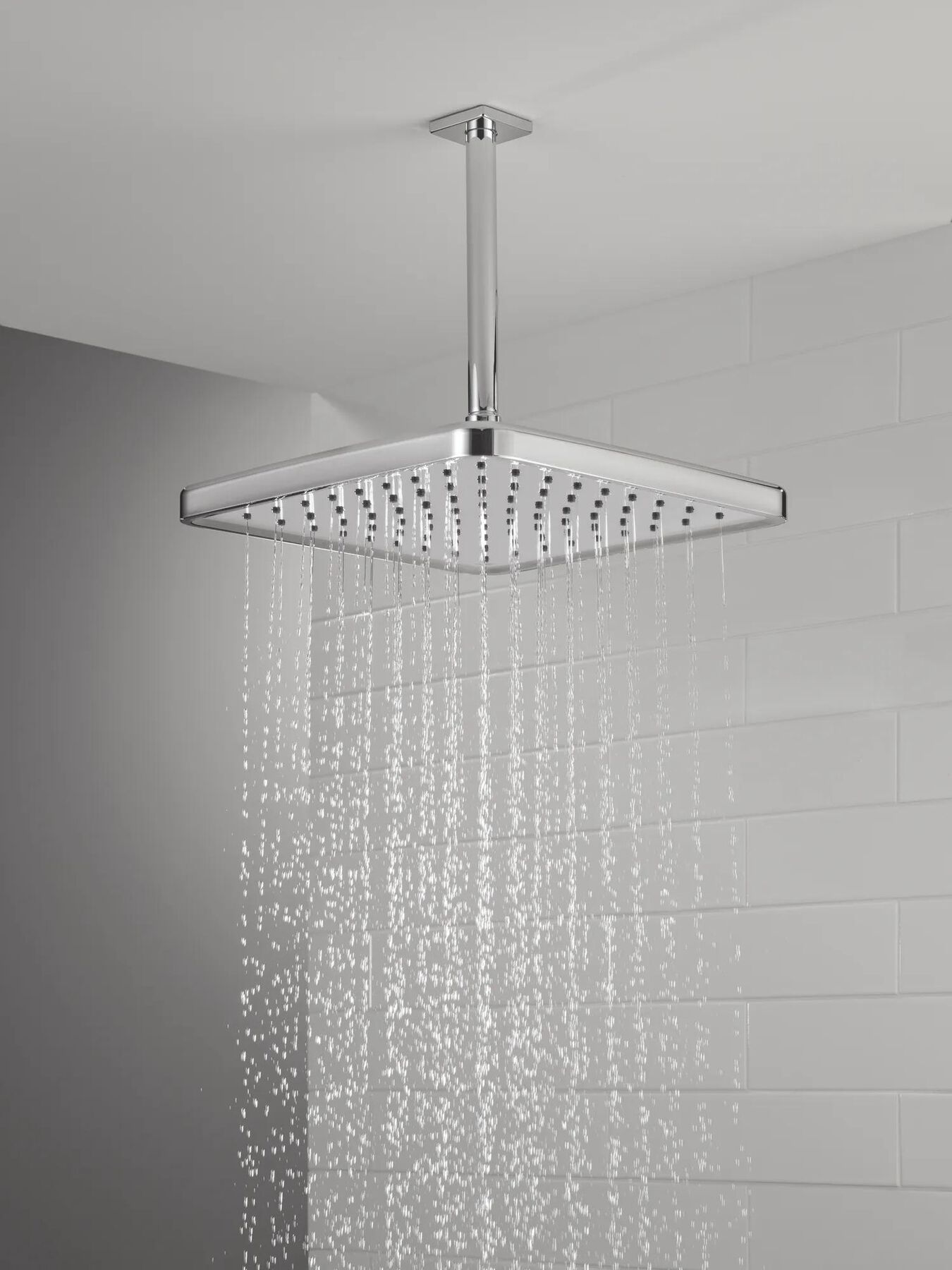 Single-Setting Raincan Shower Head