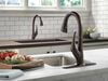 Single Handle Pull-Down Kitchen Faucet with ShieldSpray&reg; Technology