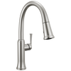 Single Handle Pull-Down Kitchen Faucet (Recertified)