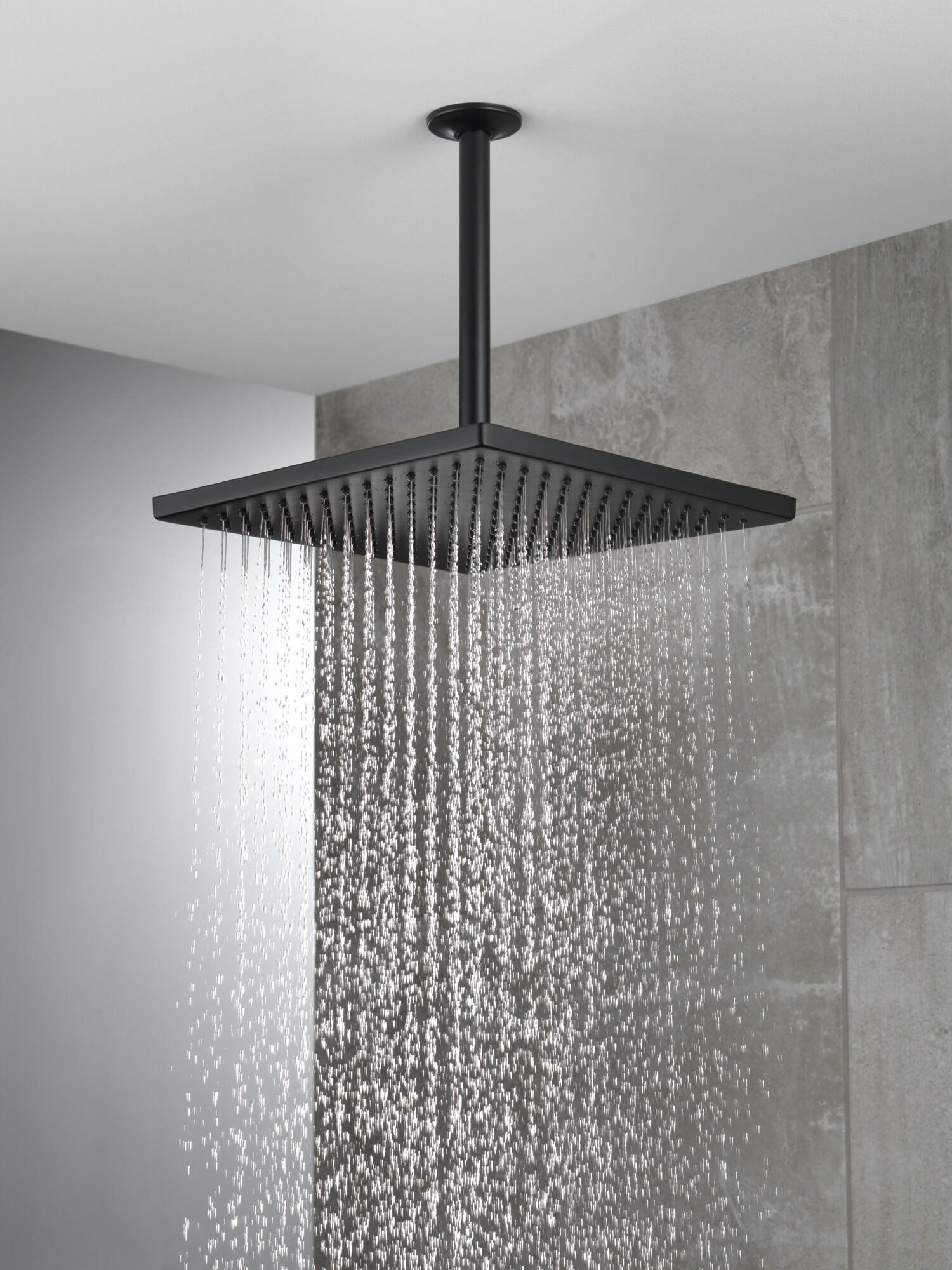 Single-Setting Metal Raincan Shower Head (Recertified) in Matte