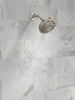 Fixed 5-Setting Showerhead