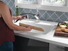 Single Handle Pull-Out Kitchen Faucet (Recertified)