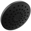 PivotPro&trade; Raincan Shower Head