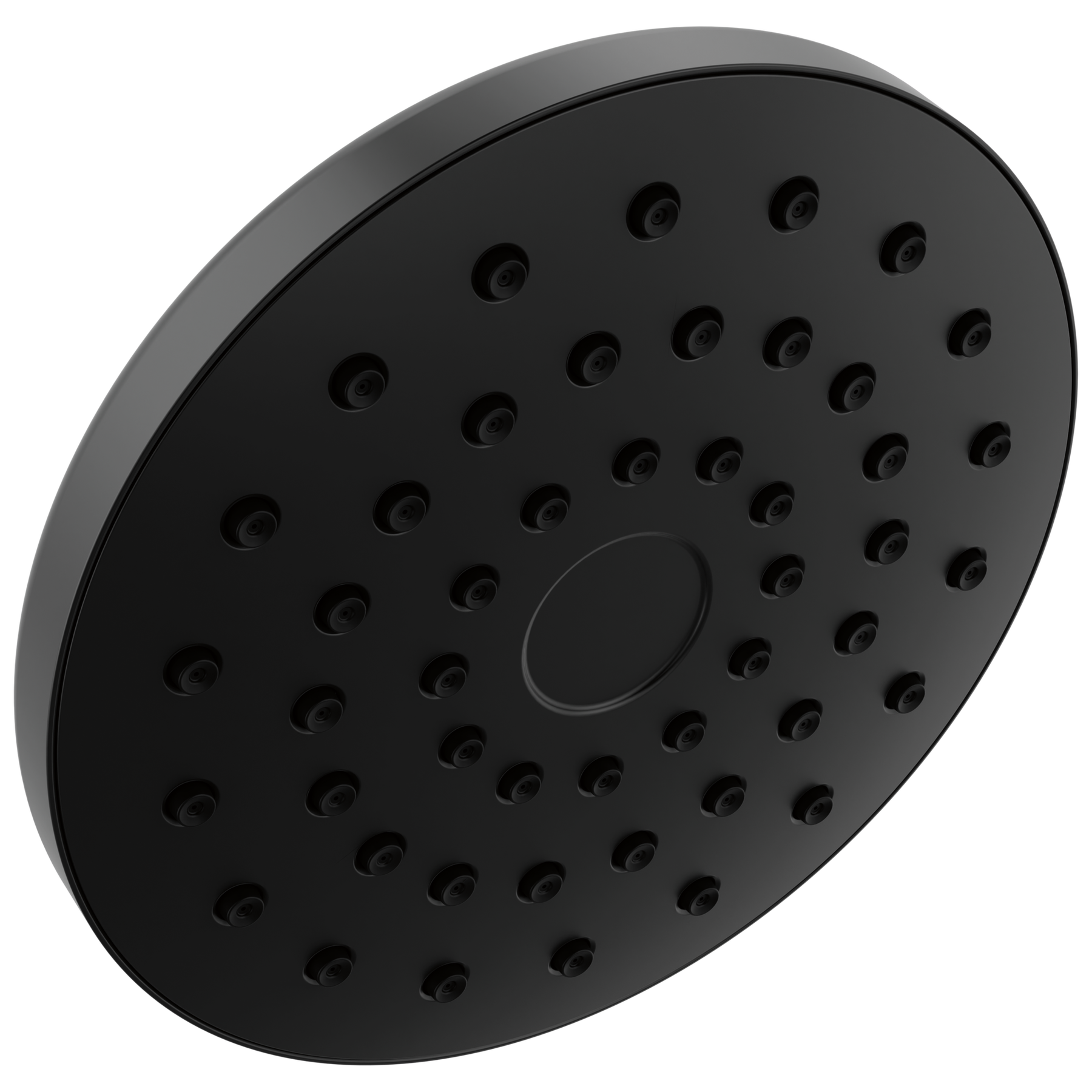 PivotPro&trade; Raincan Shower Head