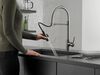 Pull-Down Kitchen Faucet (Recertified)