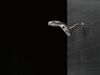 HydroRain&reg; 5-Setting Two-in-One Shower Head