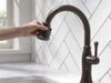 Single Handle Pull-Down Kitchen Faucet with ShieldSpray&reg; Technology