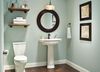 Elongated Concealed Trapway Toilet