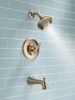 Shower Trim with Rough Bundle
