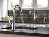 Single Handle Pull-Down Kitchen Faucet with ShieldSpray&reg; Technology