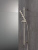 2-Setting Hand Shower with ProClean&trade; Spray &ndash; Slide Bar Mount