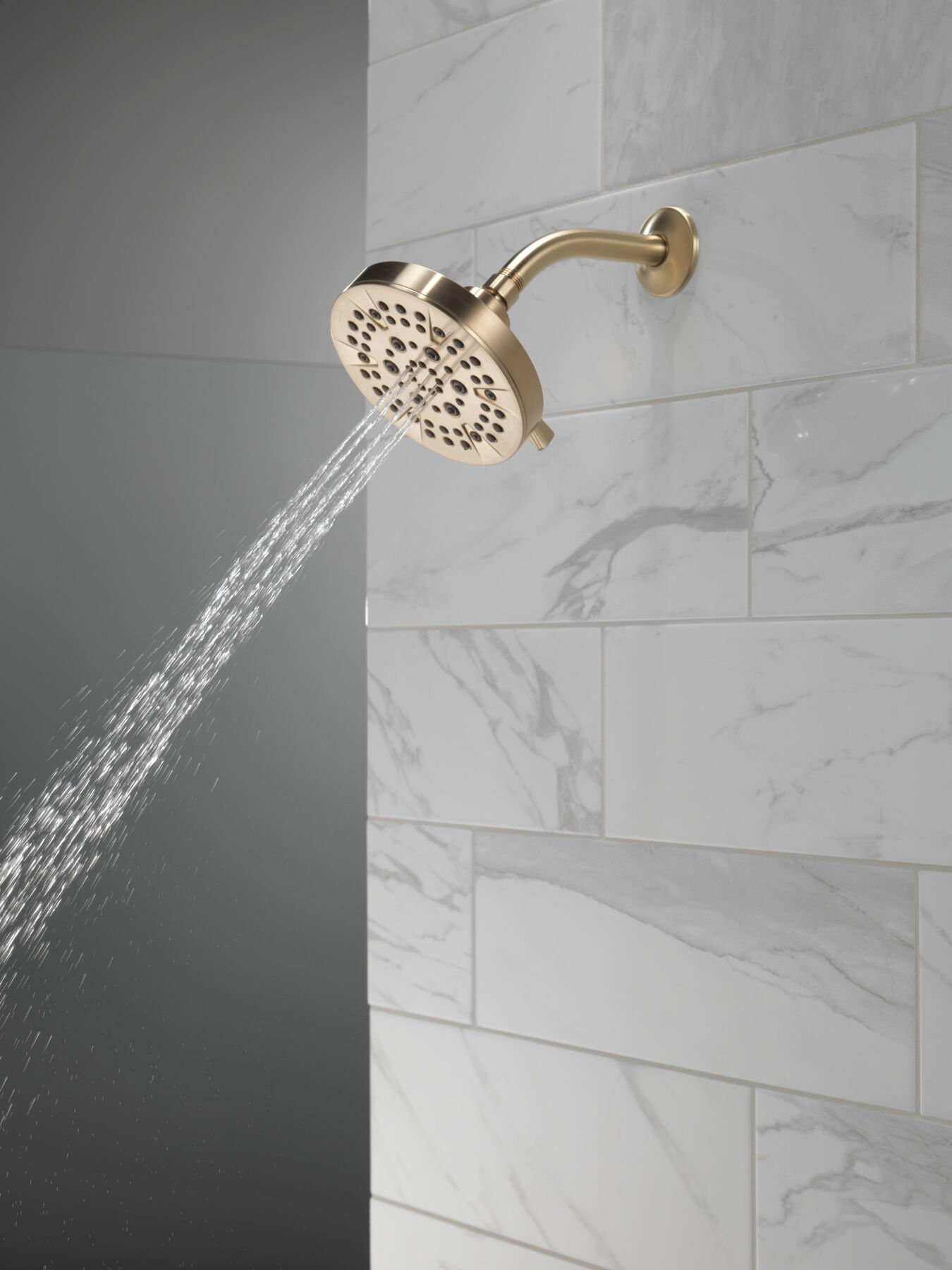 5-Setting Showerhead