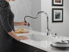 Single Handle Pull-Down Kitchen Faucet with Soap Dispenser and ShieldSpray&reg; Technology