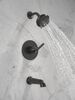 Monitor&reg; 14 Series Tub and Shower