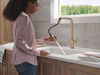Single Handle Pull-Down Kitchen Faucet