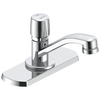 Single Handle Metering Slow-Close Bathroom Faucet