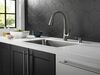 Single Handle Pull-Down Kitchen Faucet with ShieldSpray&reg; Technology