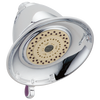 Premium 3-Setting Shower Head