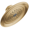 Single-Setting Raincan Shower Head