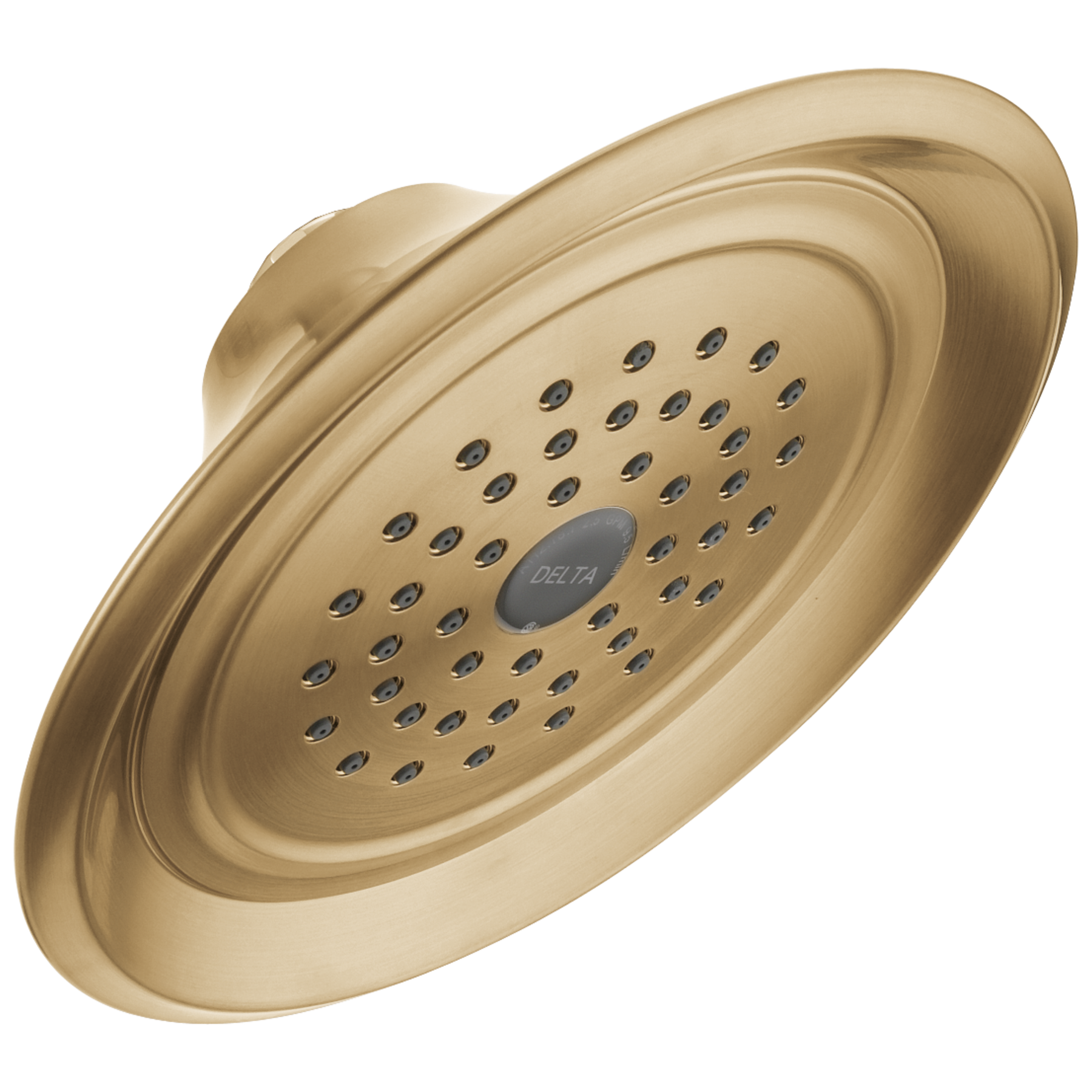 Single-Setting Raincan Shower Head