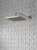 Single-Setting Raincan Shower Head