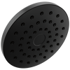 PivotPro&trade; Raincan Shower Head