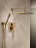 Monitor&reg; 14 Series Shower with Raincan, Hand Shower & Rough Valve