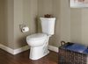 Elongated Toilet