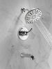 Monitor&reg; 14 Series Tub and Shower