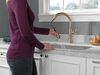 Pull-Down Kitchen w/ShieldSpray (Recertified)