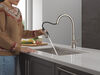 Single Handle Kitchen Pull-Down