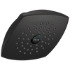 Raincan Single-Setting Touch-Clean&reg; Shower Head