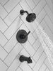 Tub/Shower Rough and Trim 14S (Recertified)