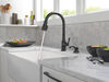 Single Handle Pull-Down Kitchen Faucet with Soap Dispenser and ShieldSpray Technology