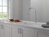 Single Handle Pull-Down Kitchen Faucet with ShieldSpray Technology