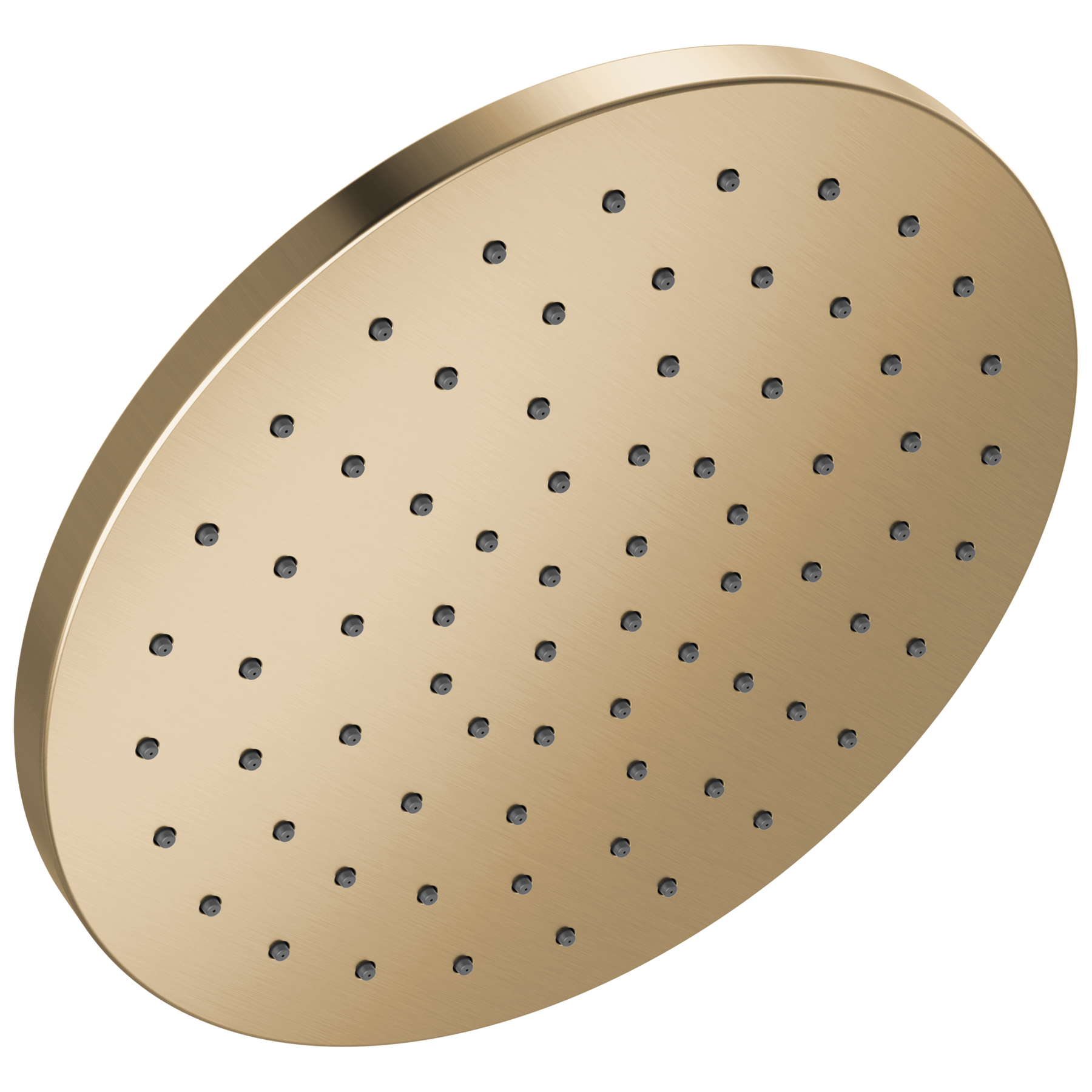 10" Single-Function Raincan Shower Head