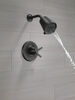 17 Series Shower Trim with Cylinder SH