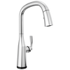 Touch<sub>2</sub>O&reg;  Pull-Down Kitchen w/ Voice