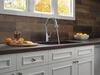 Single Handle Pull-Down Kitchen Faucet with ShieldSpray&reg; Technology